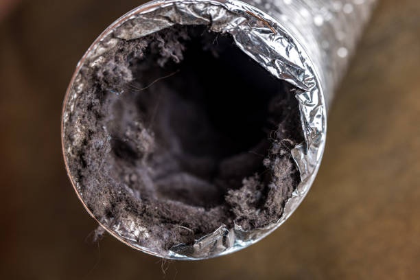 Best HVAC System Cleaning  in Alorton, IL